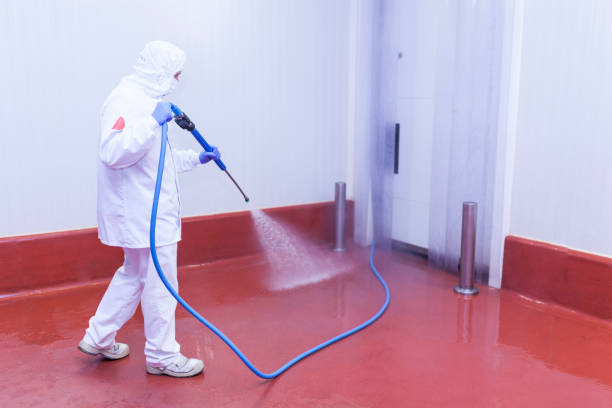 Best Building Exterior Washing  in Cameron, MO