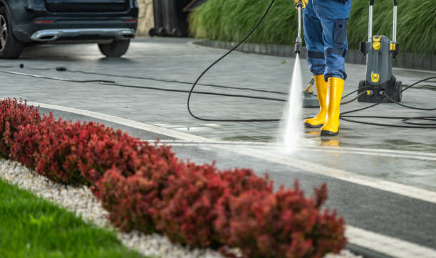 Best Driveway Pressure Washing  in Cameron, MO